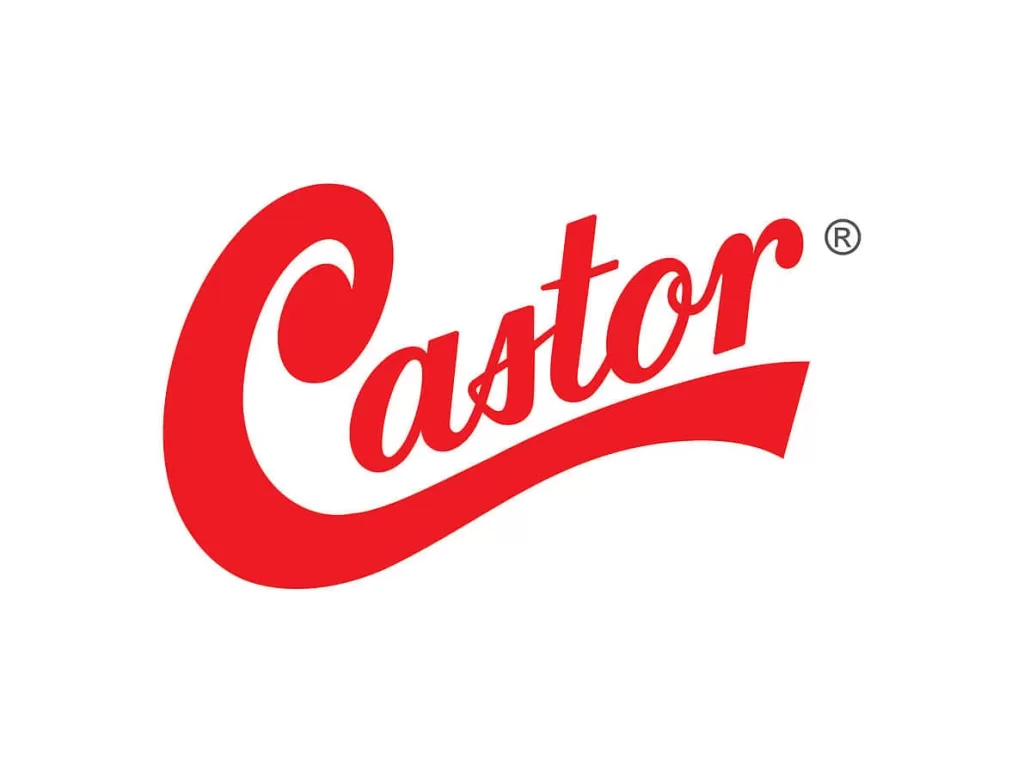 1 - Castor