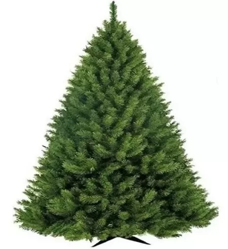 6 - Árvore De Natal Pine Côr Verde 1.50m - Bavarian